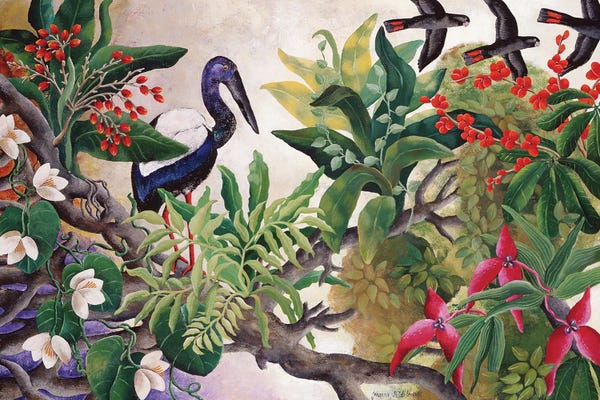 Jungles: Transient Bloom by Johanna Hildebrandt