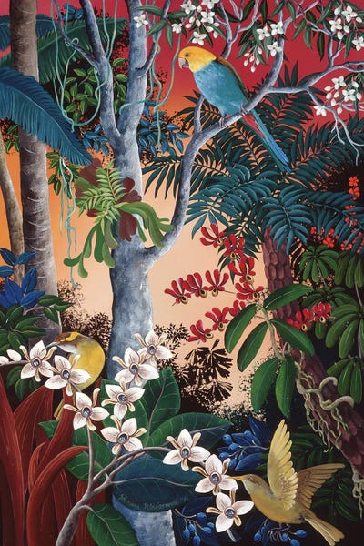 Jungles: Wild Orchids In Bloom by Johanna Hildebrandt