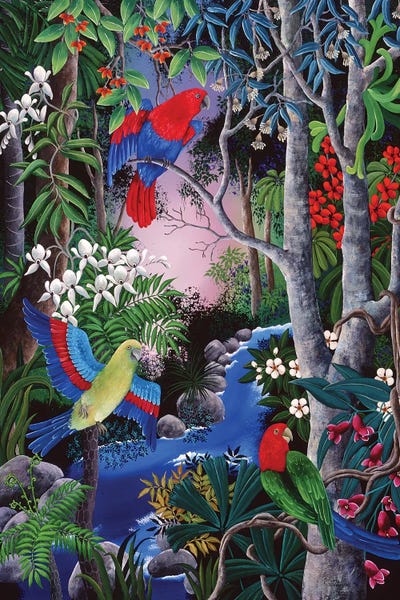 Johanna Hildebrandt: Tropical Parrots by Johanna Hildebrandt
