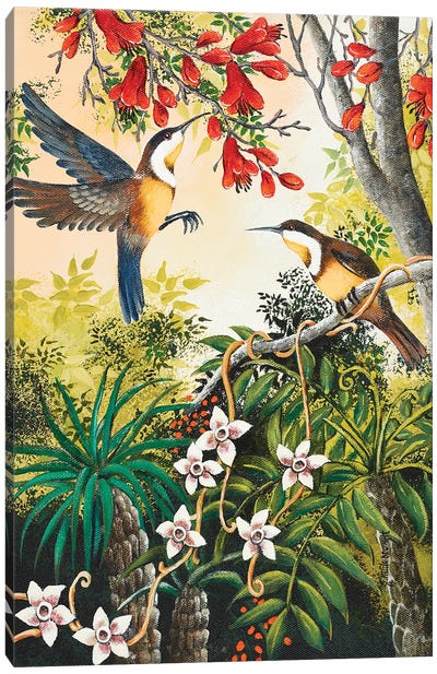 Honey Eaters Canvas Art Print - Love Birds
