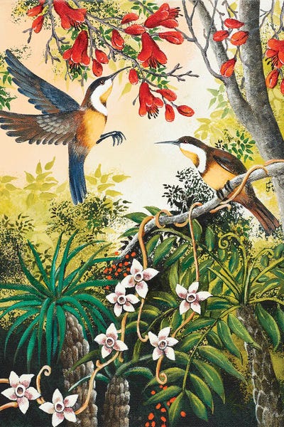 Love Birds: Honey Eaters by Johanna Hildebrandt