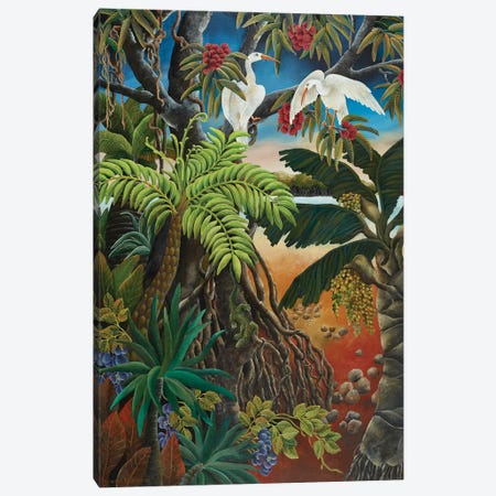 Mangrove Country Canvas Print #JHL31} by Johanna Hildebrandt Canvas Wall Art