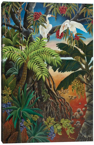 Mangrove Country Canvas Art Print - Johanna Hildebrandt