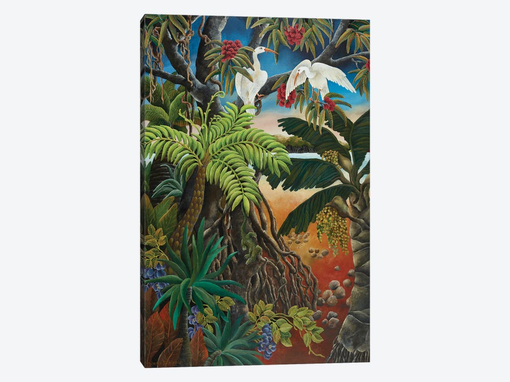 Mangrove Country by Johanna Hildebrandt 1-piece Canvas Wall Art