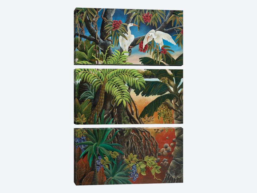 Mangrove Country by Johanna Hildebrandt 3-piece Canvas Artwork