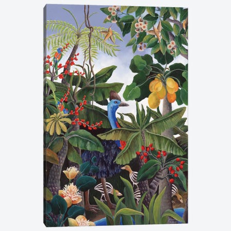 Cassowary And Chicks Canvas Print #JHL3} by Johanna Hildebrandt Canvas Print