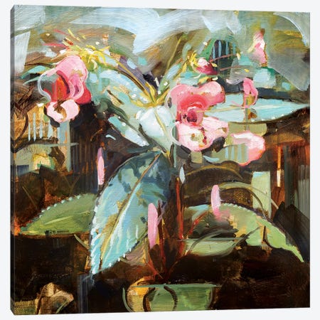 Himalayan Balsam Canvas Print #JHM16} by Johnny Morant Canvas Wall Art