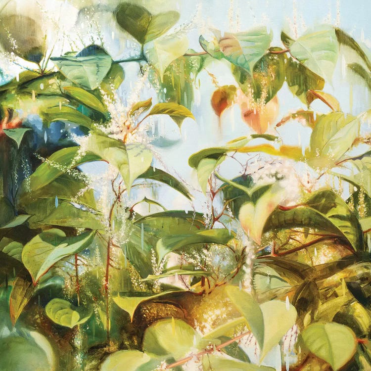 Japanese Knotweed by Johnny Morant wall art