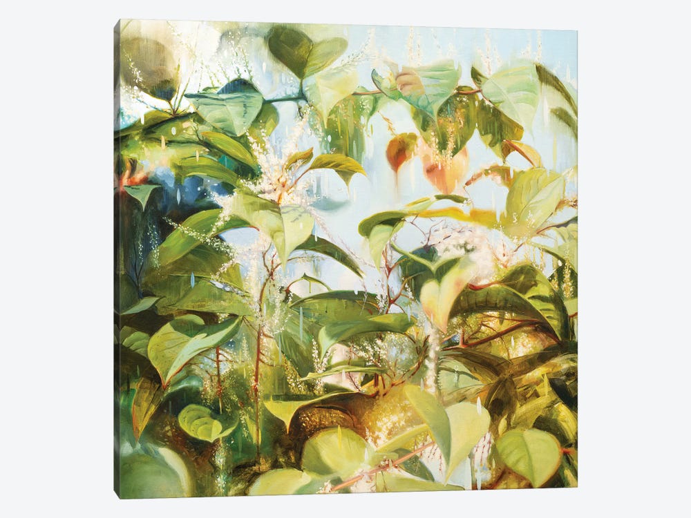 Japanese Knotweed by Johnny Morant 1-piece Canvas Artwork