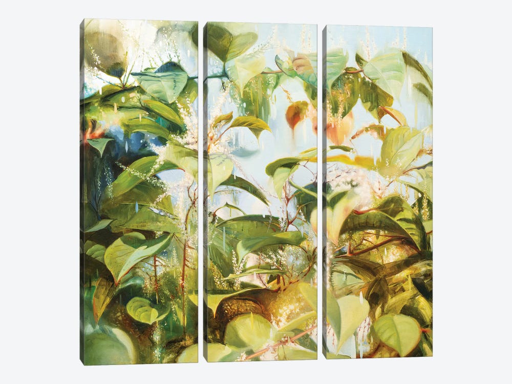 Japanese Knotweed by Johnny Morant 3-piece Canvas Artwork
