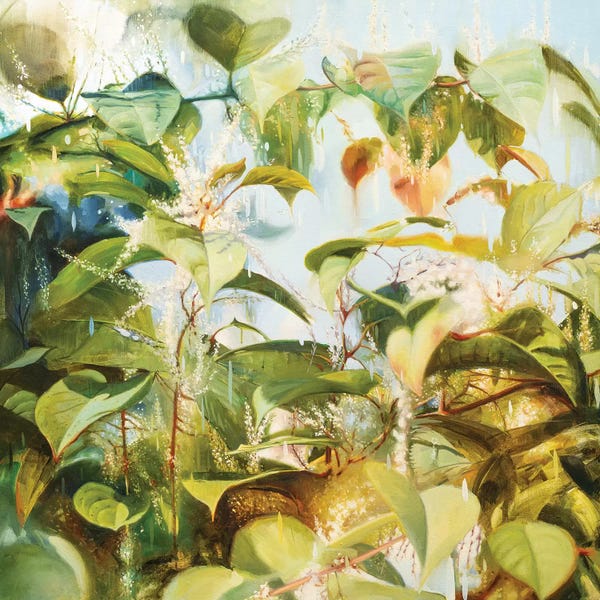 Johnny Morant: Japanese Knotweed by Johnny Morant