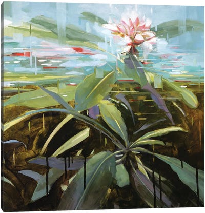Rhododendron Canvas Art Print - Johnny Morant