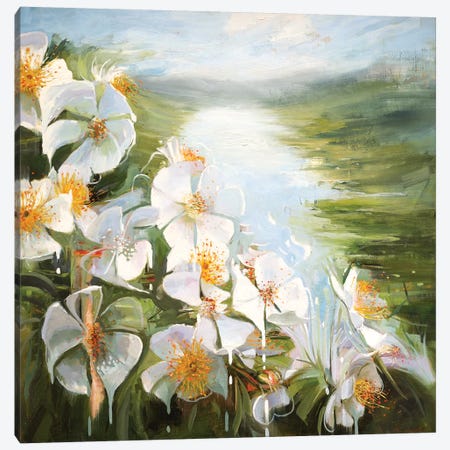 Rosa Multiflora Canvas Print #JHM26} by Johnny Morant Art Print