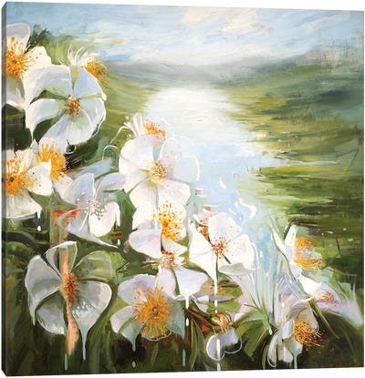 Rosa Multiflora Canvas Art Print - Johnny Morant