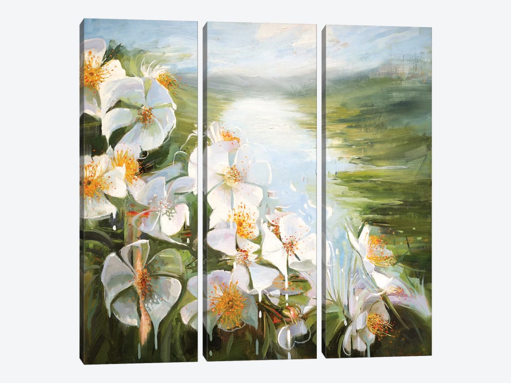 Rosa Multiflora by Johnny Morant 3-piece Canvas Art Print