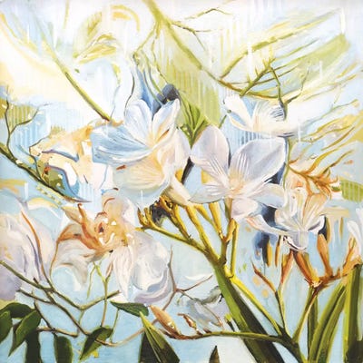 Wild Flowers by Johnny Morant framed wall art