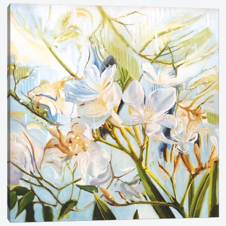 Wild Flowers Canvas Print #JHM29} by Johnny Morant Canvas Artwork