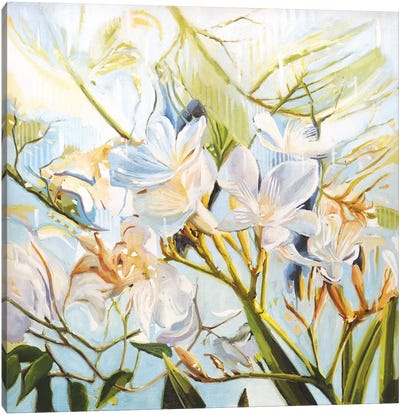 Wild Flowers Canvas Art Print - Johnny Morant