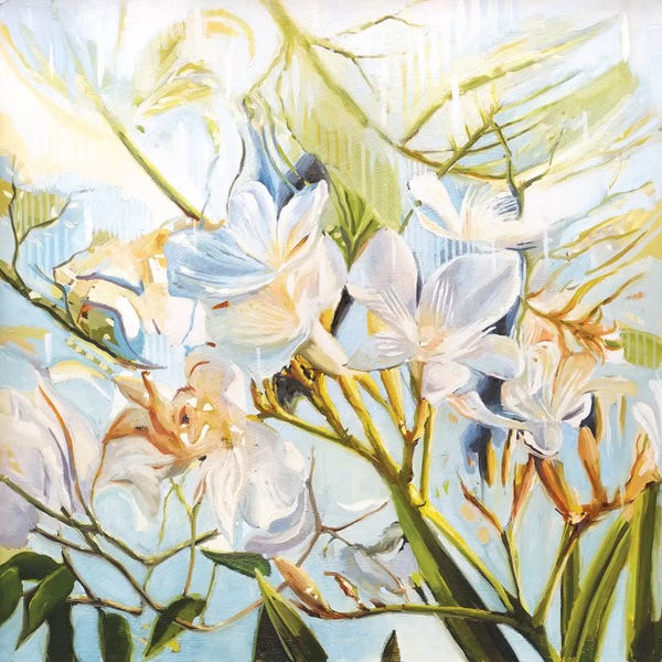 Johnny Morant: Wild Flowers by Johnny Morant
