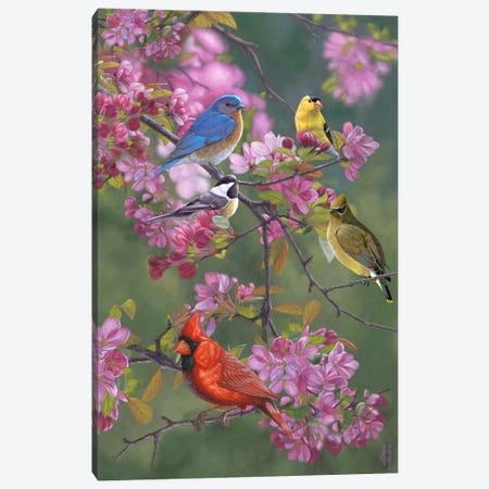 Birds & Blossoms Canvas Print #JHO4} by Jeffrey Hoff Canvas Print