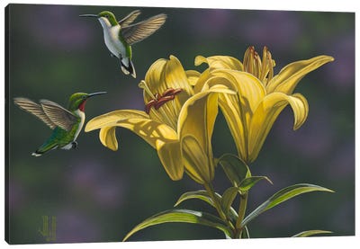 Yellow Lilies Canvas Art Print - Jeffrey Hoff