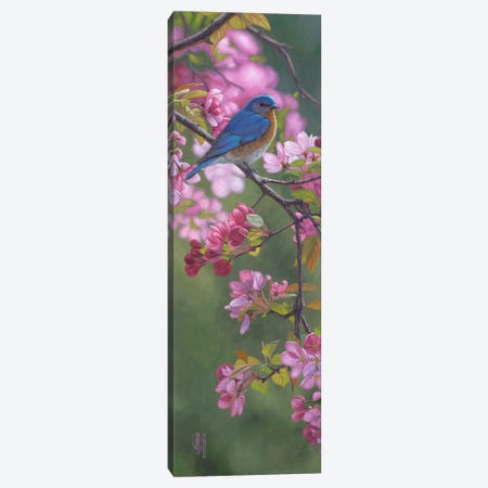 Bluebird & Pink Blossoms Canvas Print #JHO6} by Jeffrey Hoff Canvas Art Print