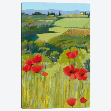 Field Of Poppies Canvas Print #JHP2} by Jane Henry Parsons Canvas Art
