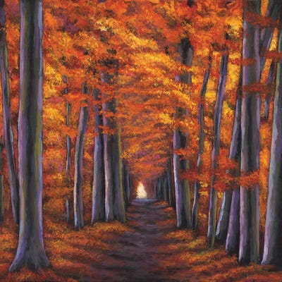 Autumn Path by Johnathan Harris canvas print