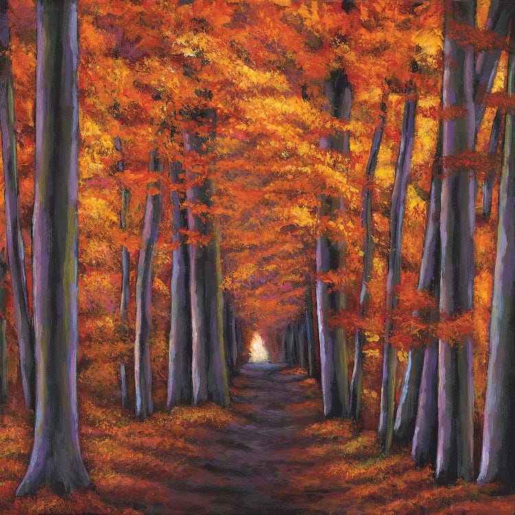 Autumn Path