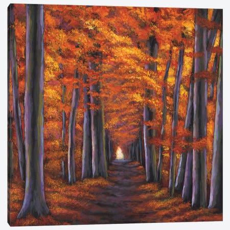 Autumn Path Canvas Print #JHR10} by Johnathan Harris Canvas Art