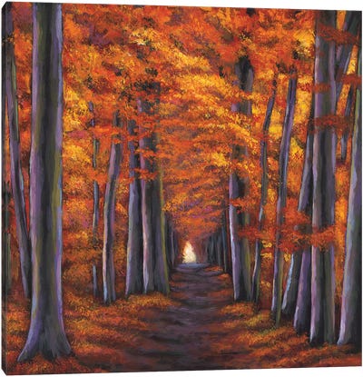 Autumn Path Canvas Art Print - Johnathan Harris