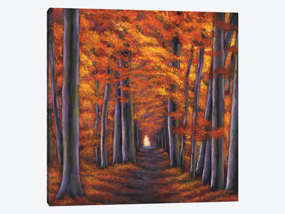 Autumn Path by Johnathan Harris 1-piece Art Print