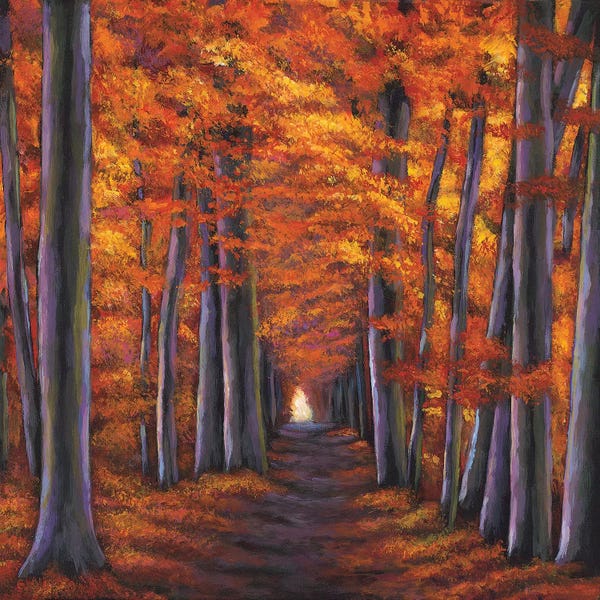 Johnathan Harris: Autumn Path by Johnathan Harris