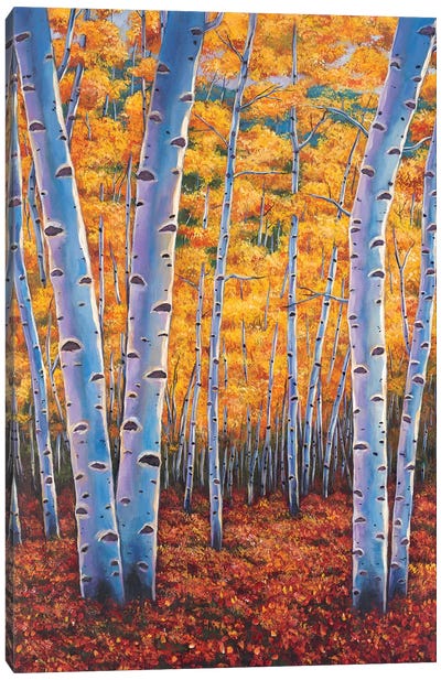 Autumns Dreams Canvas Art Print - Aspen and Birch Trees