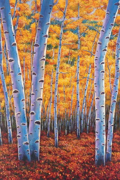 Johnathan Harris: Autumns Dreams by Johnathan Harris