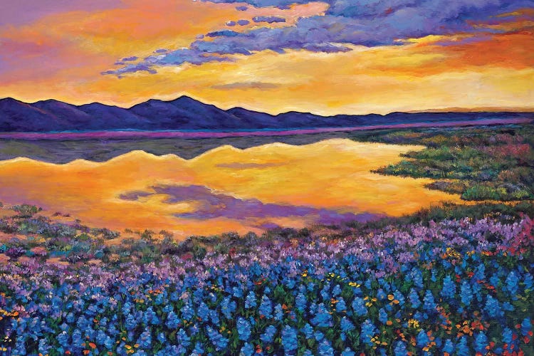Blue Bonnet Rhapsody by Johnathan Harris wall art