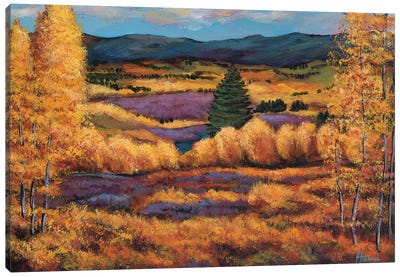 Colorado Canvas Art Print - Johnathan Harris
