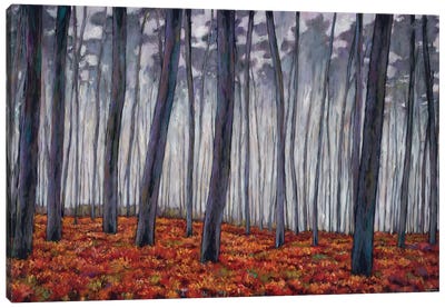 Crimson Walk Canvas Art Print - Johnathan Harris