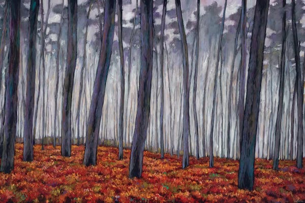 Johnathan Harris: Crimson Walk by Johnathan Harris