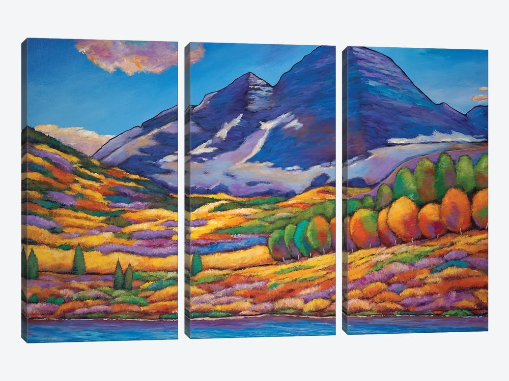 A Day In The Aspens by Johnathan Harris 3-piece Canvas Wall Art