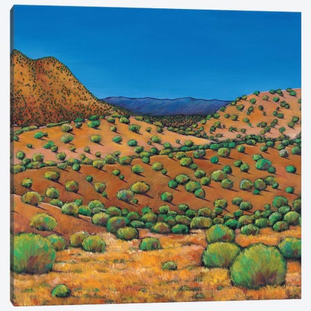 Desert Afternoon Canvas Print #JHR20} by Johnathan Harris Canvas Art Print