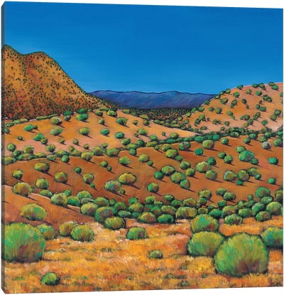Desert Afternoon Canvas Art Print - Desert Art