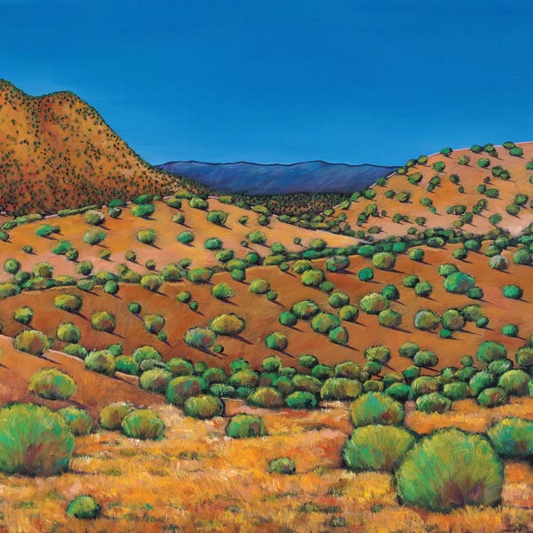 Johnathan Harris: Desert Afternoon by Johnathan Harris