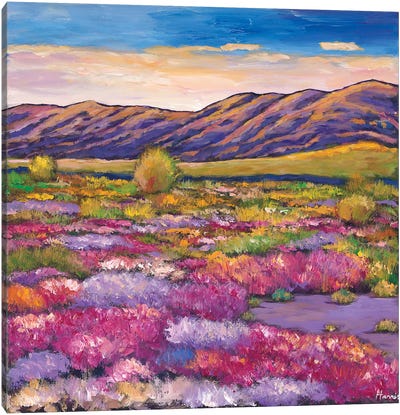 Desert Bloom Canvas Art Print - Southwest Décor