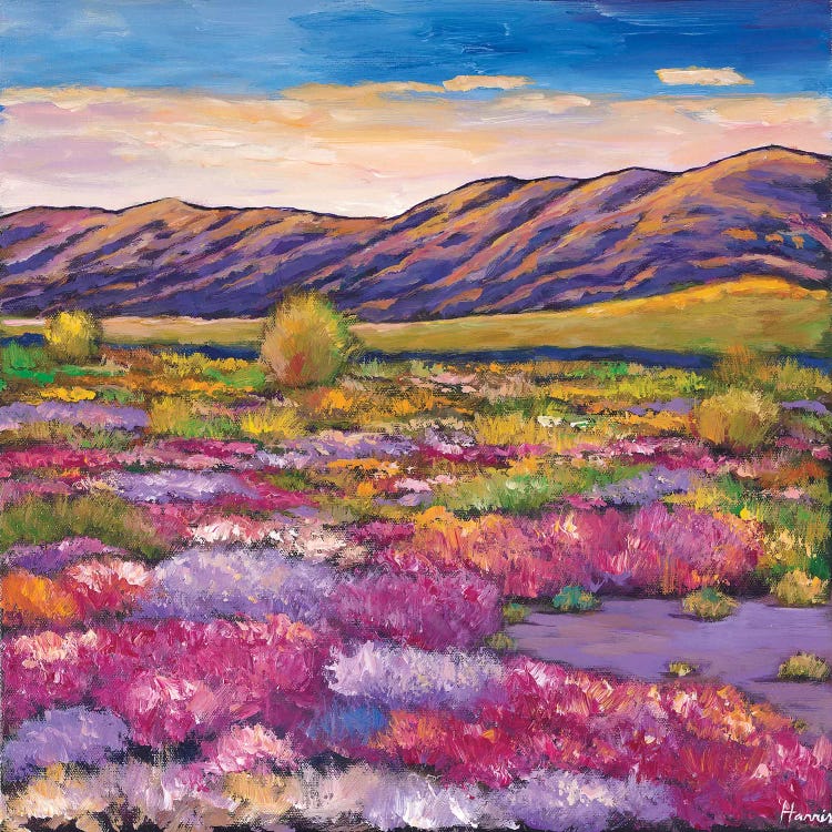 Desert Bloom by Johnathan Harris wall art