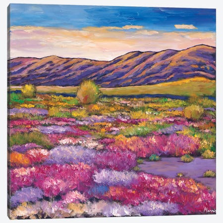 Desert Bloom Canvas Print #JHR21} by Johnathan Harris Canvas Print