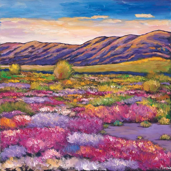 Landscapes In Bloom: Desert Bloom by Johnathan Harris