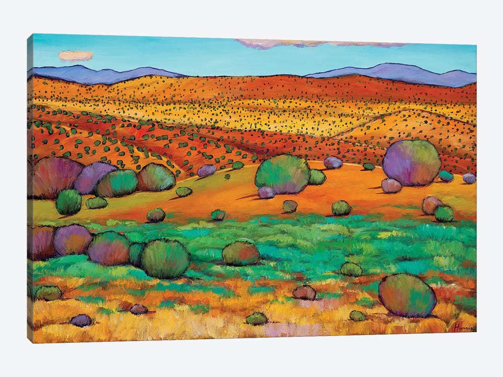 Desert Day by Johnathan Harris 1-piece Canvas Artwork