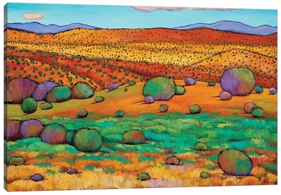 Desert Day Canvas Art Print - Southwest Décor