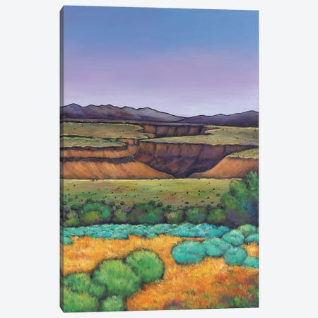 Desert Gorge Canvas Print #JHR23} by Johnathan Harris Canvas Print